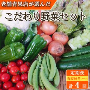 【発送月固定定期便】こだわり野菜セット 7～8品目 詰め合わせ (時津町)全4回