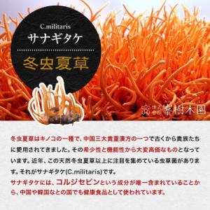 ふるさと納税 合志市 【毎月定期便】【峯王】冬...の詳細画像1