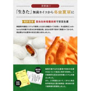 ふるさと納税 合志市 【毎月定期便】【峯王】冬...の詳細画像3