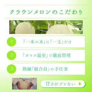 ふるさと納税 浜松市 【発送月固定定期便】クラ...の詳細画像1