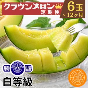ふるさと納税 浜松市 【発送月固定定期便】クラウンメロン1.3kg×6個(白等級)全12回