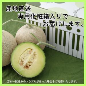 ふるさと納税 浜松市 【発送月固定定期便】クラ...の詳細画像3