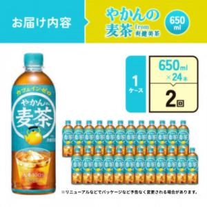 ふるさと納税 えびの市 【毎月定期便】やかんの...の詳細画像1