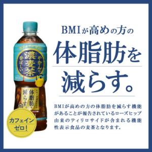 ふるさと納税 えびの市 【毎月定期便】やかんの...の詳細画像2