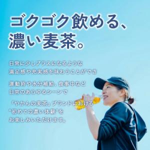 ふるさと納税 えびの市 【毎月定期便】やかんの...の詳細画像3