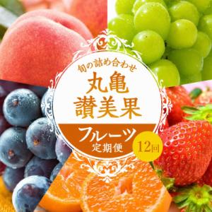 ふるさと納税 丸亀市 【毎月定期便】丸亀讃美果 フルーツ定期便全12回