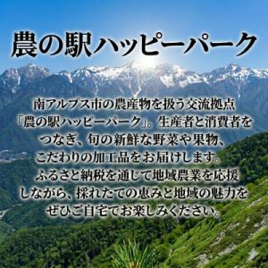 ふるさと納税 南アルプス市 【発送月固定定期便...の詳細画像3