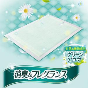ふるさと納税 名張市 【毎月定期便】デオシート...の詳細画像2