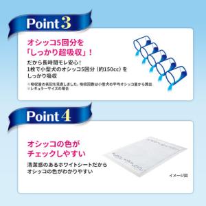 ふるさと納税 名張市 【毎月定期便】デオシート...の詳細画像3