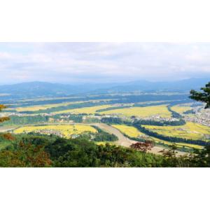 ふるさと納税 津南町 【毎月定期便】魚沼産コシ...の詳細画像1