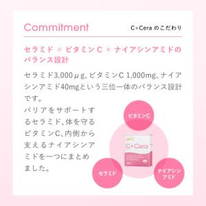 ふるさと納税 鎌倉市 【毎月定期便】【Lypo...の詳細画像1