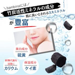 ふるさと納税 宇部市 【毎月定期便】bambi...の詳細画像3