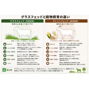 ふるさと納税 美浜町 【毎月定期便】国産グラス...の詳細画像1