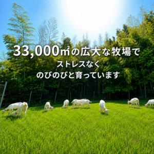 ふるさと納税 美浜町 【毎月定期便】国産グラス...の詳細画像2