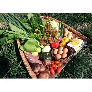 アイテムID:363905の画像1枚目