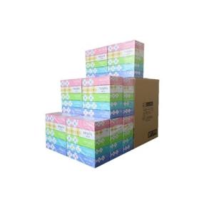 【2024年最新】ティッシュ定期便のふるさと納税おすすめランキング10選