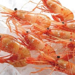 ふるさと納税 稚内市 2021年9月発送開始『定期便』ぼたん海老とほたて貝柱、本ずわい蟹しゃぶ、いくら醤油漬全3回
