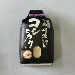 ふるさと納税 南丹市 2022年1月発送開始『定期便』毎月お届け!純粋 丹波こしひかり100% 5kg 全6回