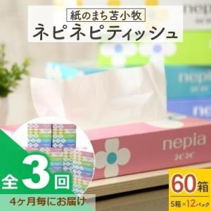 ふるさと納税 苫小牧市 2022年7月発送開始『定期便』紙のまち苫小牧　ネピネピティッシュ(60箱)＜4カ月ごと＞全3回