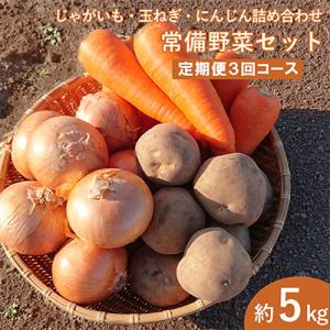 ふるさと納税 雲仙市 2023年1月開始『定期便』常備野菜セット