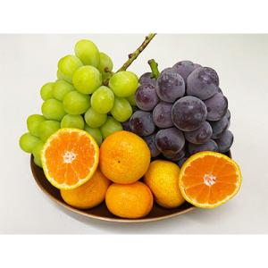 ふるさと納税 三木町 2023年2月開始『定期便』さぬき旬のフルーツ大満足12ヶ月セット全12回