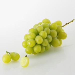 ふるさと納税 観音寺市 2023年1月開始 観音寺からのフルーツ定期便　年12回お届け