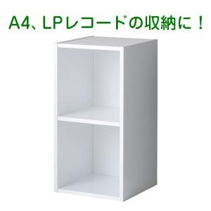 バイナルボックス レコードラック 2段 白 受発注品 送料無料｜y-sharaku