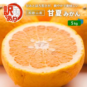 甘夏みかん 5kg 訳あり / 送料無料 甘夏 ...の商品画像