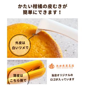 [同梱用] ムッキーちゃん / it 柑橘 皮...の詳細画像1