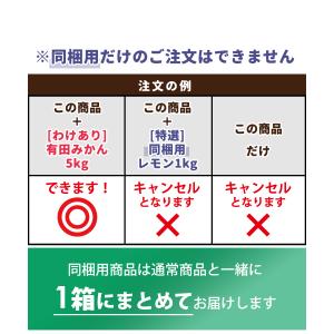 [同梱用] ムッキーちゃん / it 柑橘 皮...の詳細画像3