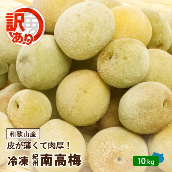 訳あり 紀州 南高梅 冷凍梅 10kg ／ 送料無料 和歌山産 産直 冷凍 青梅 黄梅 完熟一歩手前...