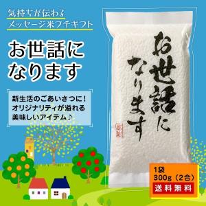 米穀店 食の健康社 米 30kg (5kg×6) 玄米 令和5年産 広島県産 あき
