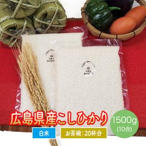 米 送料無料 ポイント消化 お米 広島県産 コシヒカリ 1500g お得な10合パック お試し 1200円 令和5年産 ※ゆうパケット配送のため日時指定・代引不可｜米穀店 食の健康社