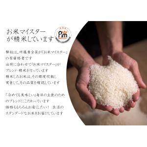 お米 20kg 令和7年産 白米 国産10割 ...の詳細画像3