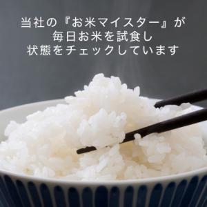米 10kg (5kg×2) 白米 令和7年産...の詳細画像2