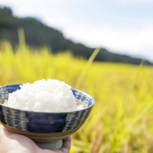 新米 令和8年産 白米 10kg (5kg×2...の詳細画像2