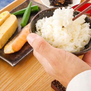 新米 令和8年産 白米 5kg 熊本県産 にじ...の詳細画像3