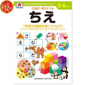 七田式・知力ドリル 5歳 6歳 ちえ プリント 子供 幼児 知育 教育 勉強 学習 右脳 左脳 幼稚園 小学校 お祝い プレゼント 準備