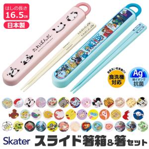 skater 箸 ケース付き 箸箱 箸 子供 箸 食洗器対応 お箸 おしゃれ お箸 男の子 お箸 女の子 スライドケース スライド式 日本製 2023年 新柄 スケーター 給食｜y-sir