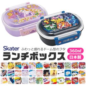 SKATER 抗菌 ふわっとフタタイトランチボックス 2022年