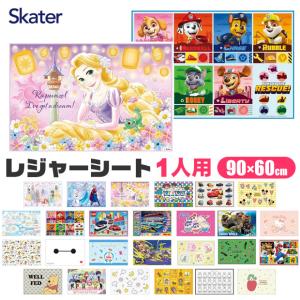 スケーター レジャーシート 一人用 2023年新柄 遠足