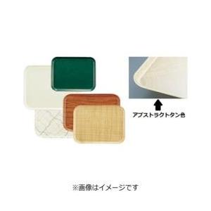 キャンブロ社 キャンブロ カムトレー（FRP） アブストラクトタン 303×414mm ＜EKM01...