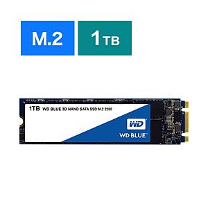 WesternDigital WD Blue WDS100T2B0Bの買取情報