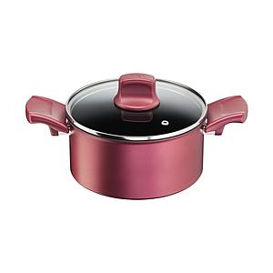 T-FAL IHルージュ・アンリミテッドシチューポット   G26244