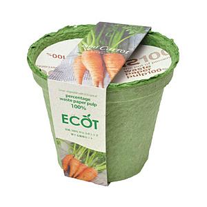 聖新陶芸 GD-41102 エコット M にんじん 【852】