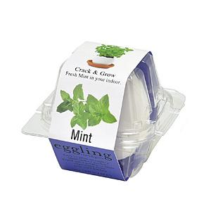 聖新陶芸 エッグリング　クリアパッケージ　ミント