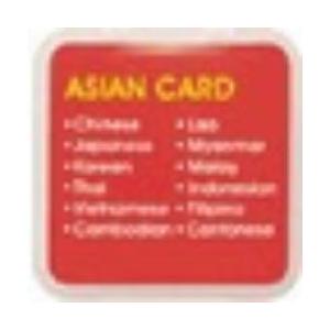 東江物産 GT-V5/GT-V4対応オプション言語カード アジア言語カード