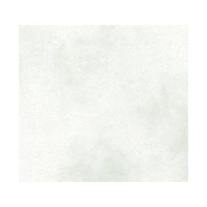 平和紙業 ファンシーペーパー 新アトモス［B5サイズ /10枚］ B5-A-03 わさび