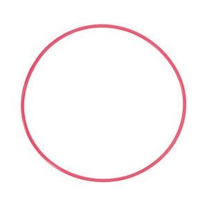 OLYMPUS(オリンパス) POL-EP03 （Oリング/PT-EP03付帯品）