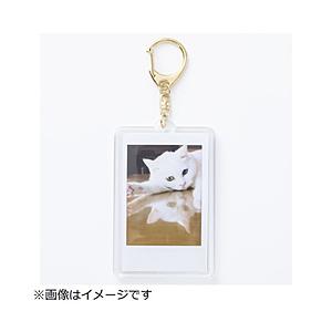富士フイルム(FUJIFILM) チェキ用フォトキーホルダー ゴールド